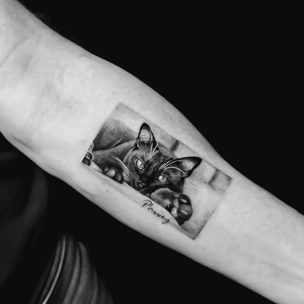 Pet portrait realism