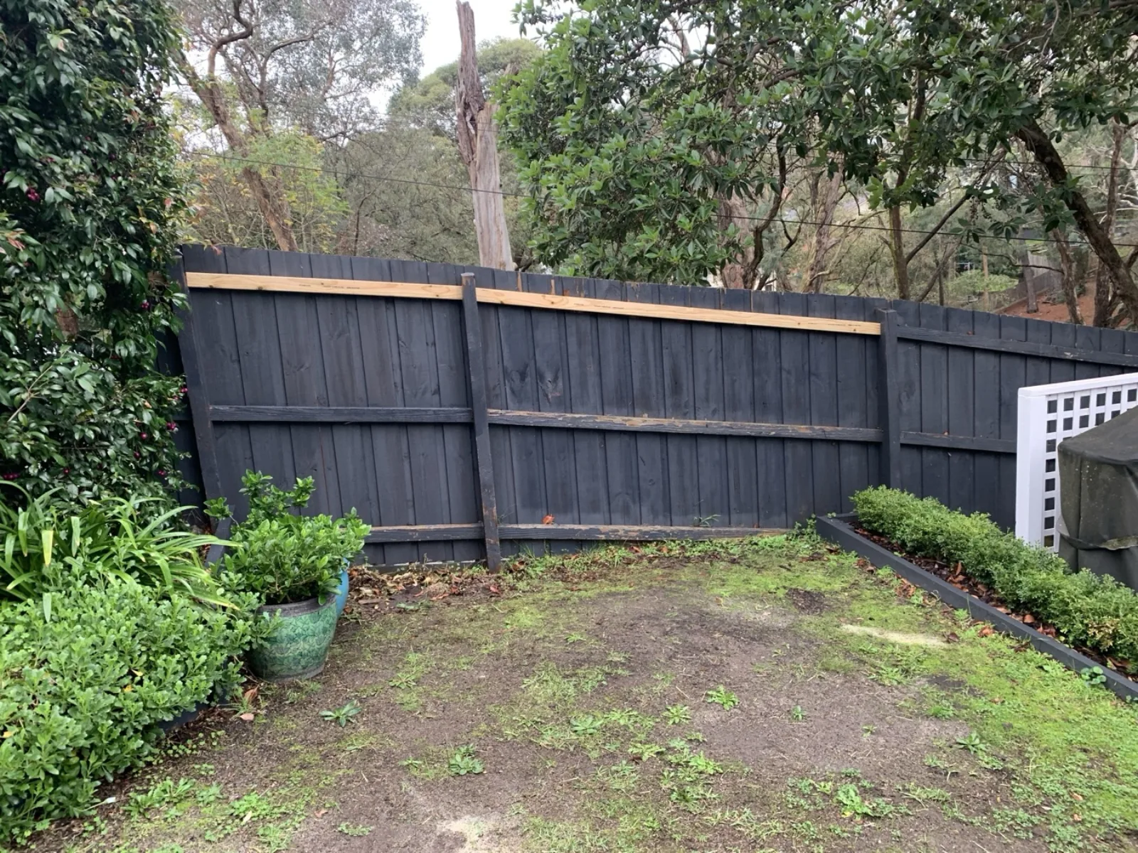 Fence repair and repaint by JT Handyman in Mitcham